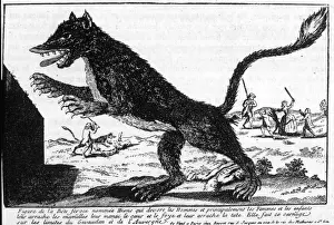 Bete Du Gevaudan / Devigne