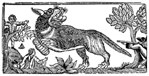 1767 Prints: Bete Du Gevaudan / Devigne