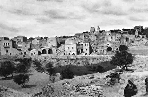Olives Prints: Bethany, Mount of Olives, Israel
