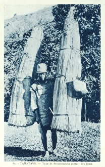 Madagascan Collection: Betsimisaraka man carrying reeds