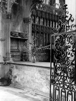 Images Dated 28th March 2011: Beverley Minster Gate
