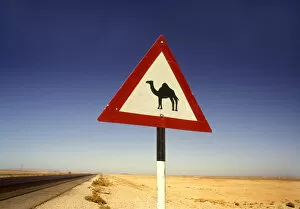 Signage Collection: Beware camels sign, Jordan