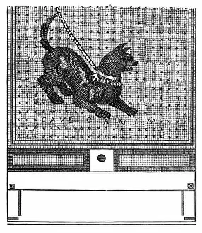 Pompeii Collection: Beware of the dog mosaic