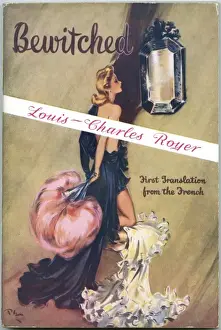 Bewitched book front cover by David Wright