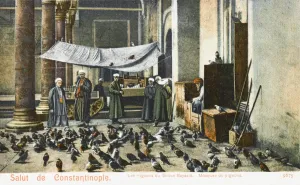 Beyazid Prints: The Beyazidiye Mosque with pigeons, Constantinople