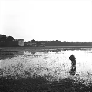Rice Prints: Bhopal, Madhya Pradesh - India