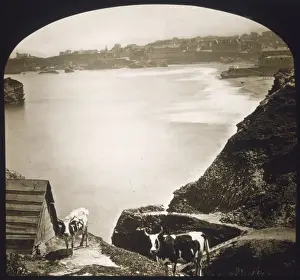 Biarritz / Bay C1900