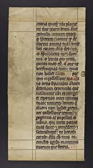 Bible (Fragment)