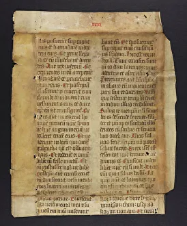 Bible (Fragment)