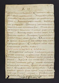 Bible (Fragment)