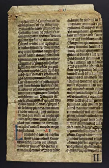 Bible (Fragments)