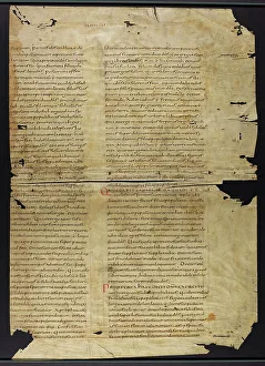 Bible (Fragments)