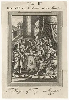 Plague Prints: Bible / Plague / Egypt / Frogs