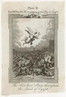 Plague Prints: BIBLE/PLAGUE/FIRST BORN
