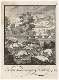 Plague Prints: Bible / Plague / Murrain