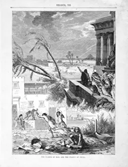 Plague Prints: Biblical Plagues of hail and frogs - Egypt