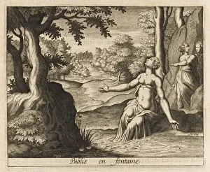 Lust Prints: Biblis into a Spring