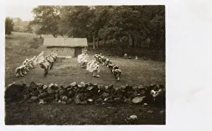 Medway Prints: Bicentennial pageant, Medway, Massachusetts, USA
