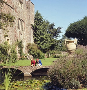 Lily Gallery: Bickleigh Castle, Devon
