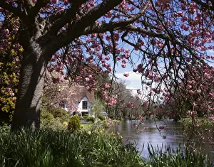 Bickleigh Cottage on the River Exe, Devon
