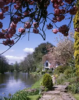 Idyll Prints: Bickleigh Cottage on the River Exe, Devon