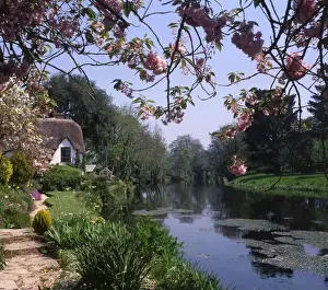 Bickleigh Cottage on the River Exe, Devon