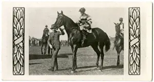 Carey Prints: Bicolor, Australian race horse
