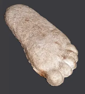 Cast Prints: Big Foot Footprint