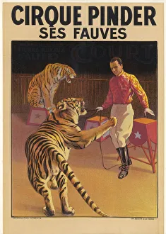 Fierce Collection: Big Game at the Circus