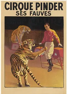 Big Game at the Circus