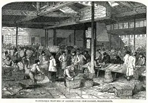 Porters Prints: Billingsgate Fish Market, London 1849