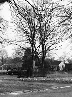 Images Dated 11th March 2011: Bilton Market Cross