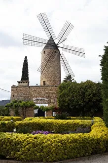 Mallorcan Collection: Binialla, Mallorca, Spain, - Windmill