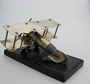 Images Dated 4th October 2008: biplane with fuselage made out of pom-pom type of shell