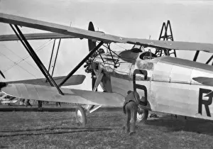 Biplanes Prints: Biplanes in a field