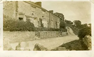 Birch Lane