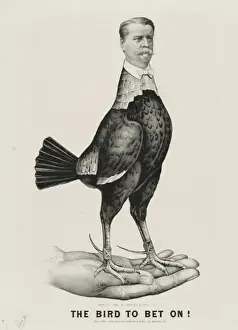 The bird to bet on