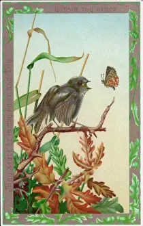 Autumnal Prints: Bird and butterfly on a greetings card