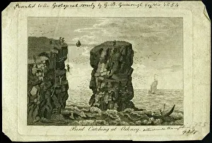 Catching Prints: Bird catching at Orkney