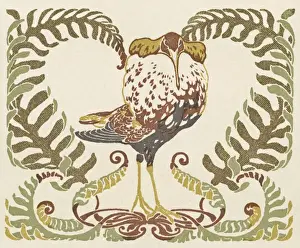 Ferns Prints: Bird in a clump of ferns