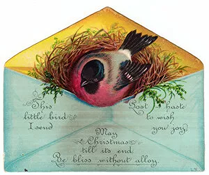Nesting Collection: Bird in an envelope on a Christmas card