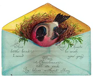 Bird in an envelope on a Christmas card