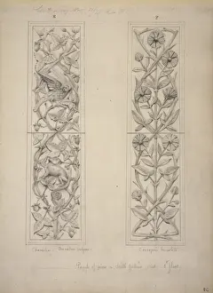 Chamaeleonid Prints: Bird, leaves and chameleon design