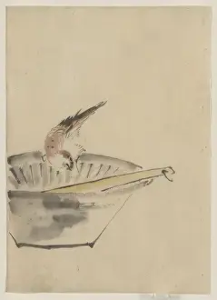 Utensil Prints: A bird perched on the edge of a bowl, with head cocked, look