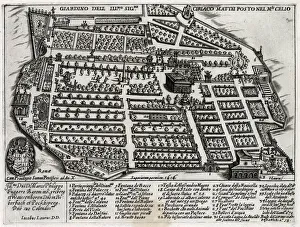 Images Dated 11th November 2020: Bird s-eye view of the garden the illustrious Ciriaco Mattei, at Rome
