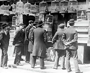 Bird seller, London, early 1900s