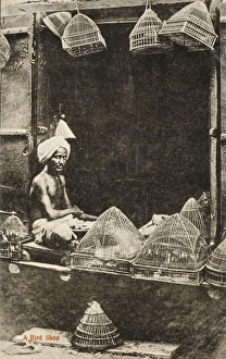 Ambala Collection: Bird Shop at Ambala, India