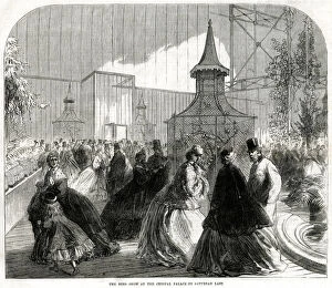 Images Dated 19th August 2019: Bird show, Crystal Palace 1865