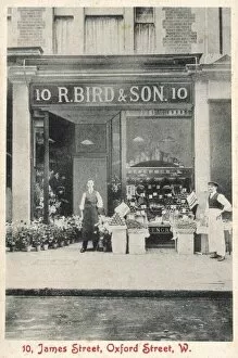 Jame Collection: Bird & Son Shop / Photo