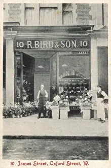 Green Grocer Prints: Bird & Son Shop / Photo